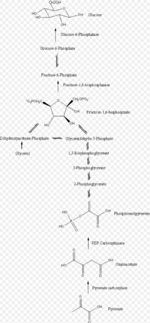 vivailbenzene.jpg