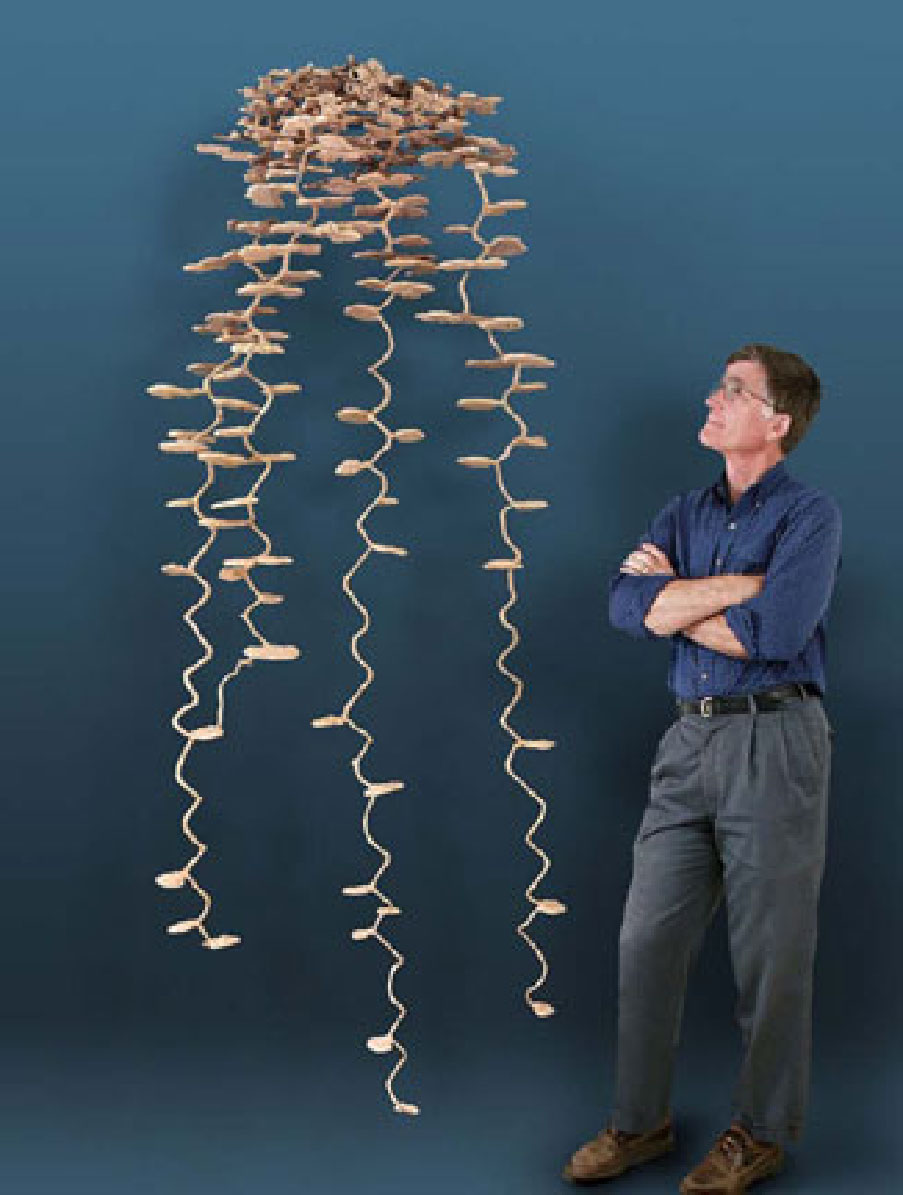 Walt accanto ad uno dei suoi calchi di formicaio (Foto: http://illustrationrevealed.wordpress.com). In internet è possibile trovare informazioni e gli articoli pubblicati sull’attività di ricerca di Walter Tschinkel sull’architettura dei nidi di formiche.