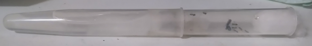 esempio di provetta con scorta d'acqua intercambiabile