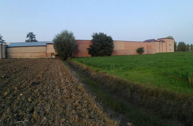 Foto panoramica dell'habitat dove trovo molte ipogee interessantissime, e non solo Strumigenys. Tutto sotto quei due alberi.