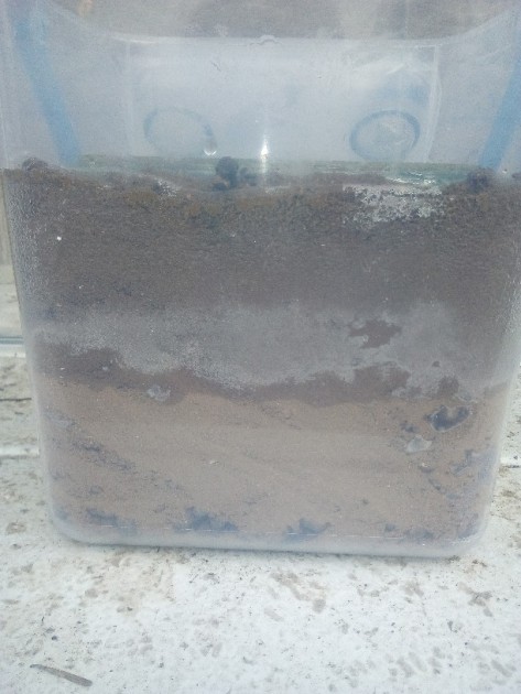 Prima prova con terra non pressata e umidificazione dall alto