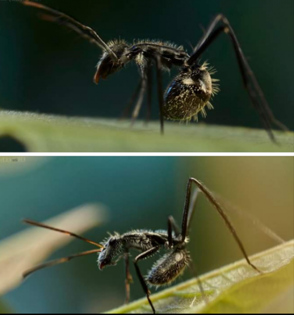 Photos by Paul Bertner