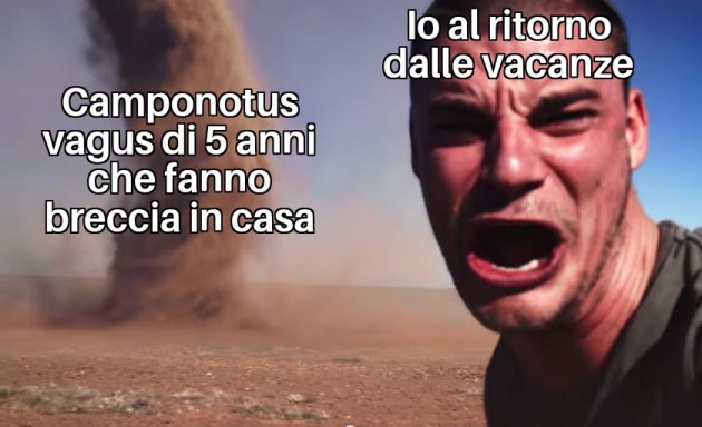 E ormai diventano loro le proprietarie di casa :)