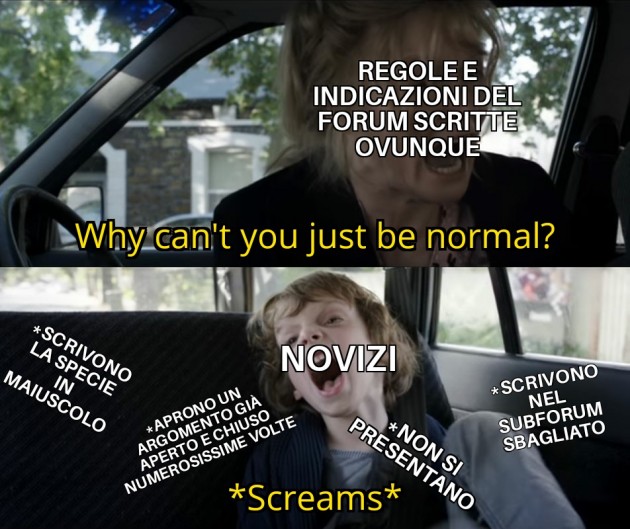 In caso qualcuno si offendesse: non era mia intenzione offendere, anzi, io stesso ammetto di aver praticato tutto quello che ho scritto in questo meme.