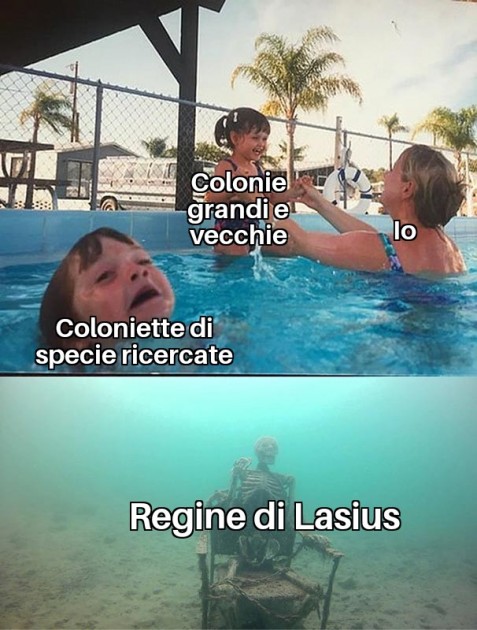 Spero di non essere l'unico così