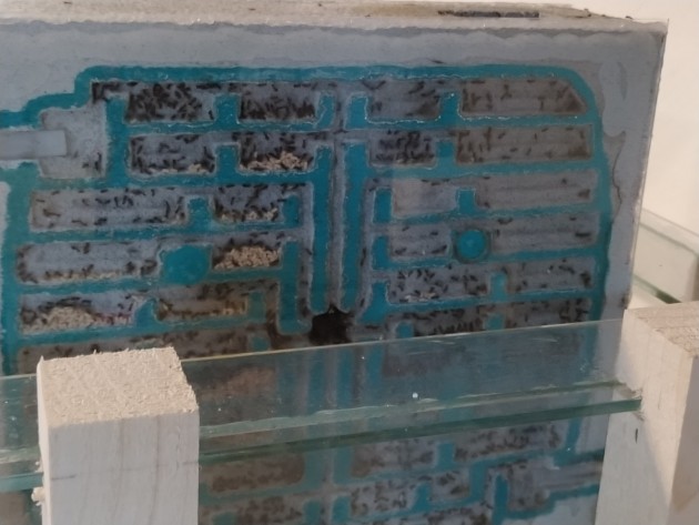 il 3° blocco, facciata verde