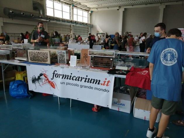 Il banco appena allestito