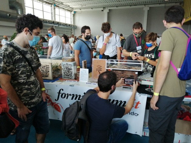 La gente comincia ad arrivare