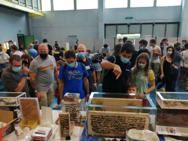 Non è la ressa del 2019, ma possiamo accontentarci!
