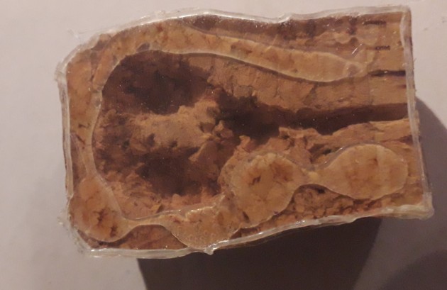 mini nidi in sughero realizzati per lo svernamento delle regine.