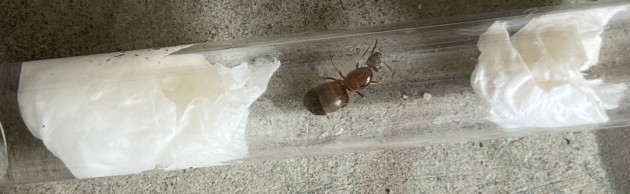 IMG_2335.jpeg