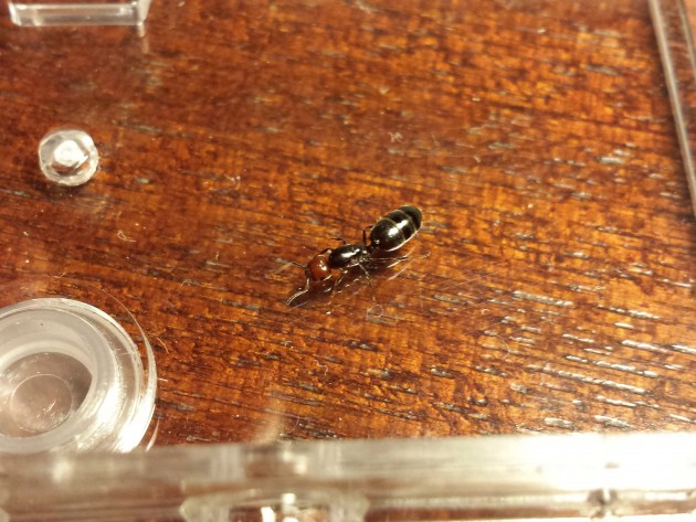 20131009_195108.jpg