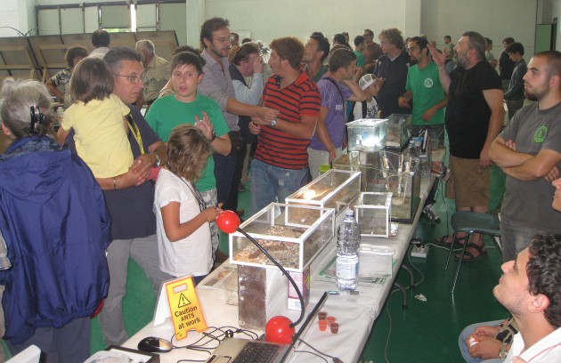 Tutti impegnati ad accogliere i curiosi...
