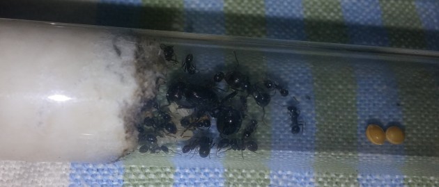 Qui le reginetta vicino alla  prima"major" :)
