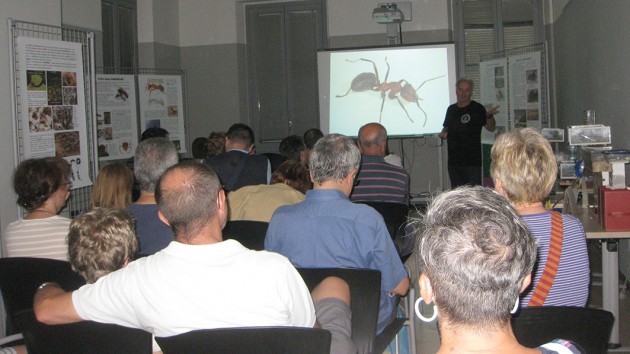 La "conferenza” il sabato sera. La lavagna luminosa è stata davvero utile e spettacolare! peccato che detenevamo spente le luci per vedere i filmati poi non si vedevano bene tutti i formicai (non avevamo abbastanza lampade per ogni singolo formicaio!!!)