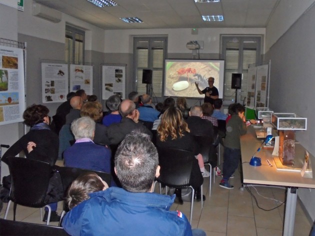 La "conferenza” che è una sintesi semplificata del mondo delle formiche. In queste occasioni si deve pensare che ci rivolgiamo a un pubblico di neofiti, e le informazioni "tecniche” vanno limitate e semplificate...