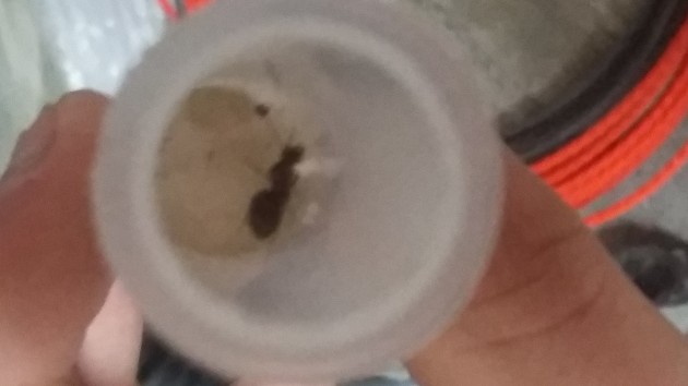 20170823_102253.jpg
