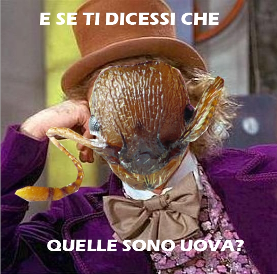 e se ti dicessi che quelle sono uova.jpg