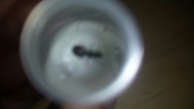IMG-20170912-WA0012.jpg