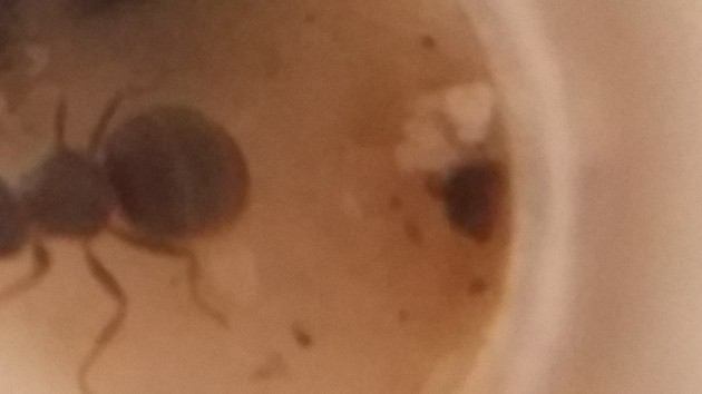 20170917_121059.jpg