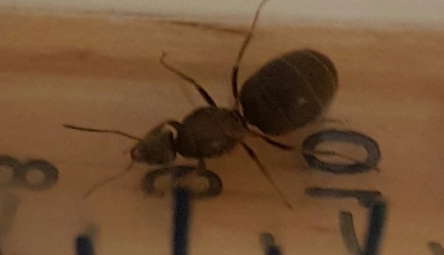 20170924_101454.jpg