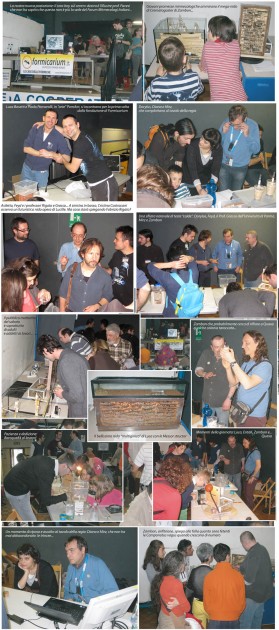 Momenti a Entomodena.jpg