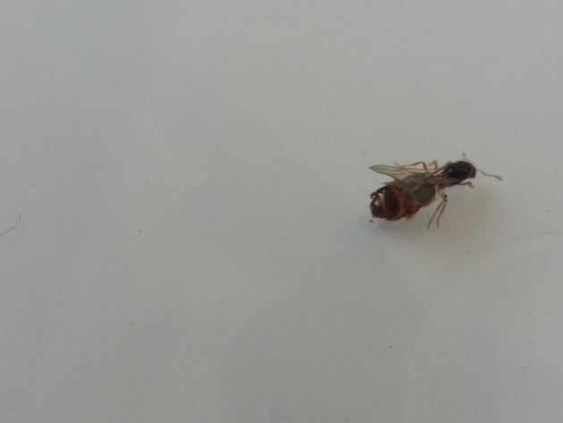 20170928_161721.jpg