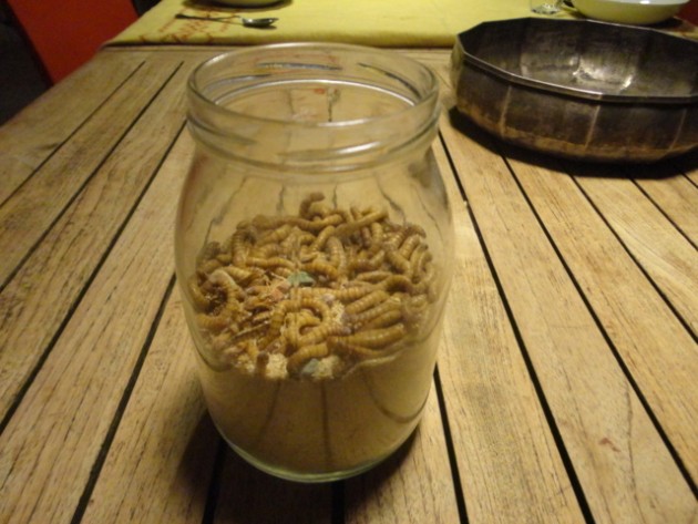 DSC01926 (FILEminimizer).JPG