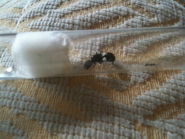 image1.jpeg