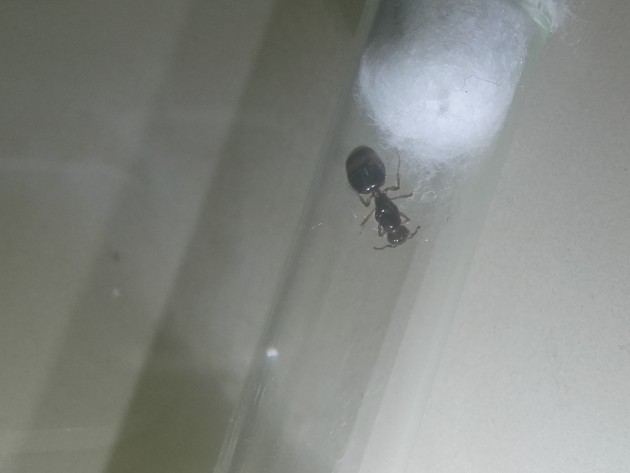 20180423_152740.jpg