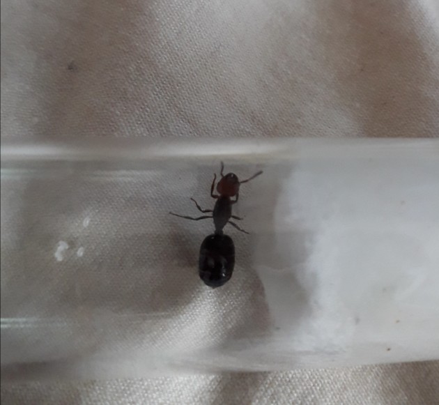 20180429_120123.jpg
