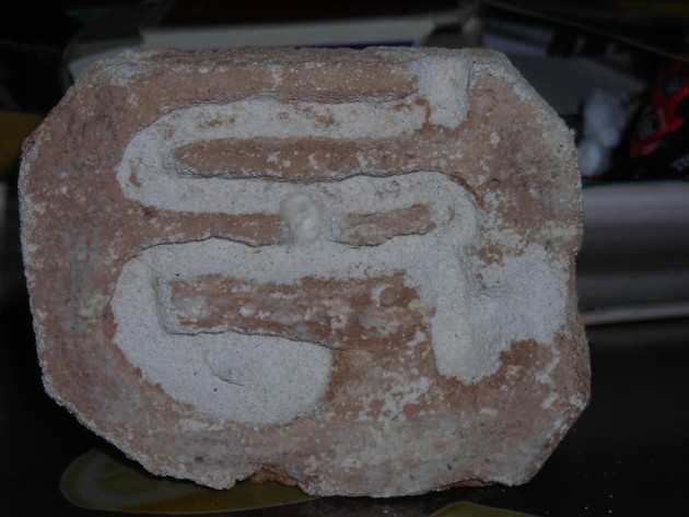 DSCN1355.JPG