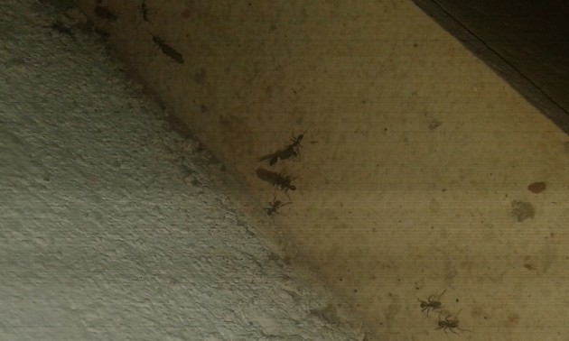 20180706_225644.jpg