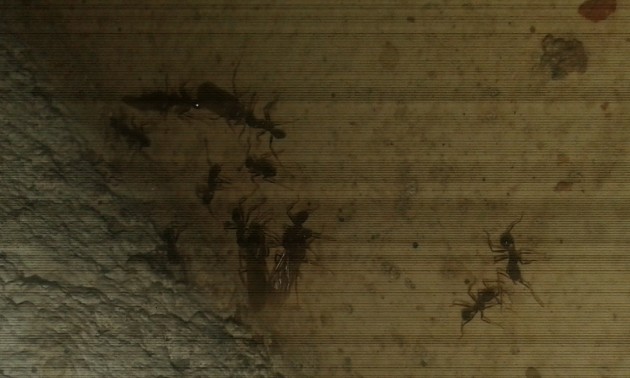 20180706_225736.jpg