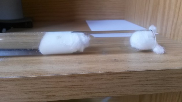 20181004_152831.jpg