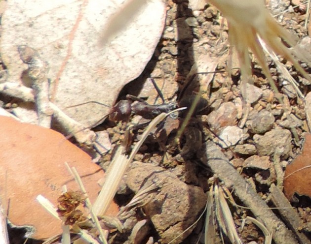 DSCN0901.JPG