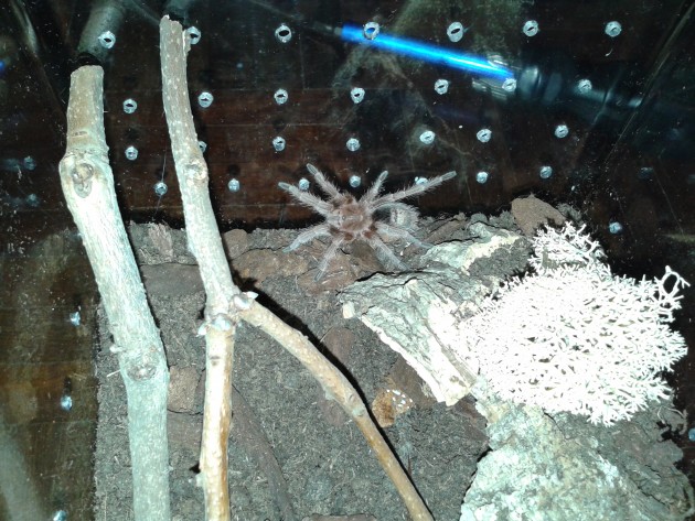 20130307_182606.jpg