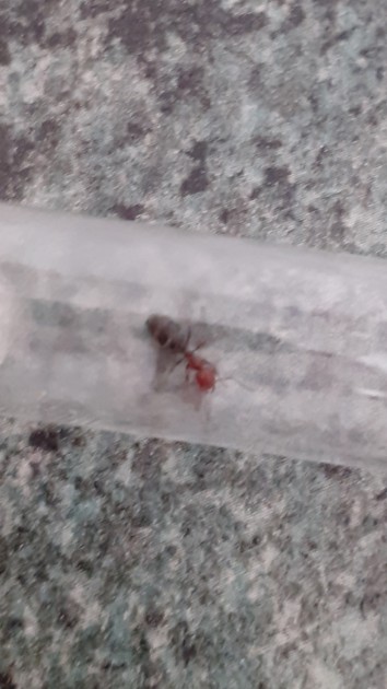 20190610_160223.jpg