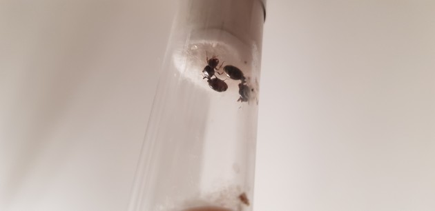 20190624_170834.jpg
