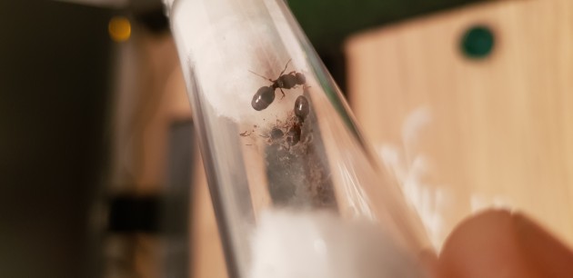 20190624_170823.jpg