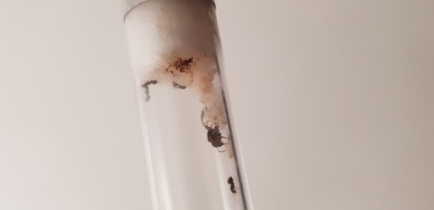 20190625_134622.jpg