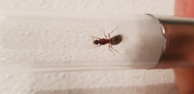 20190705_213710.jpg
