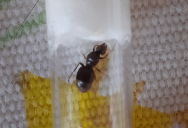 20190706_104928.jpg