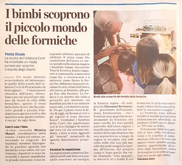 Articolo giornale.jpg