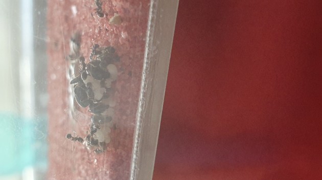 20190726_150757.jpg