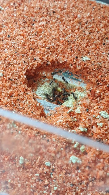 20190727_114449-min.jpg