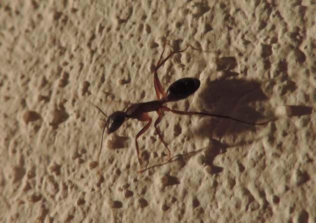 DSCN3057.JPG