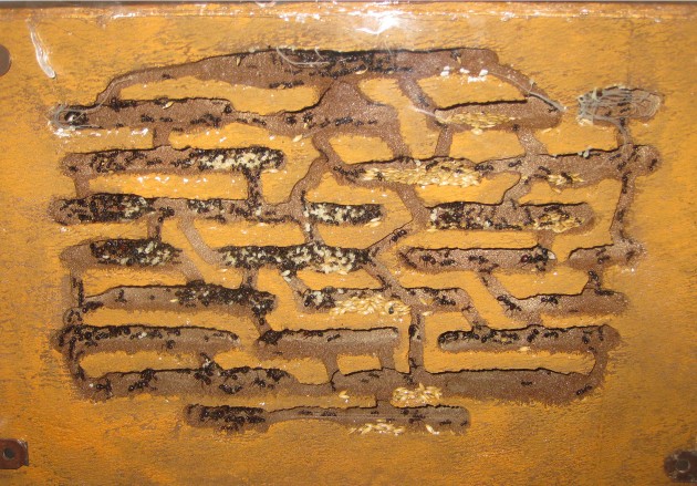 2019-03-07 16.03.21.jpg (715.57 KiB) Osservato 58526 volte 2019-03-07 16.03.21.jpg