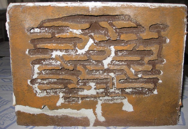 Messor Nido 06.jpg (261.94 KiB) Osservato 59817 volte Messor Nido 06.jpg