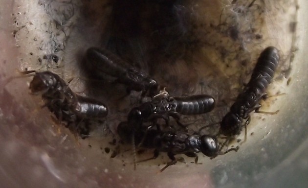 DSCF5336.JPG